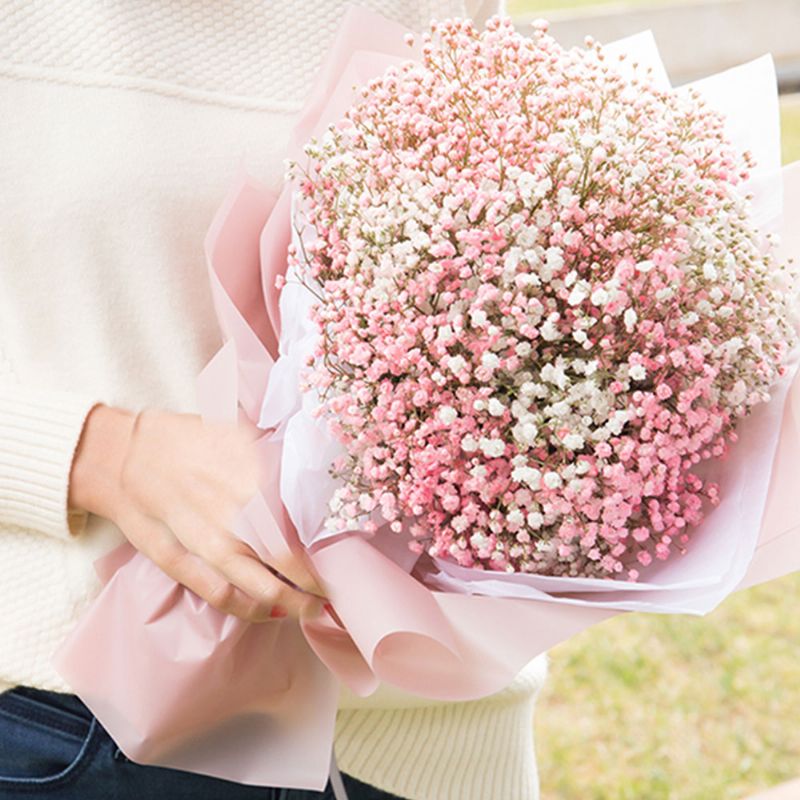 Umjetni Babysbreath Cvijet Svadbena Zabava Kućni Dekor Bebin Dah Buket Suhog Cvijeća Za Poklon Za Valentinovo