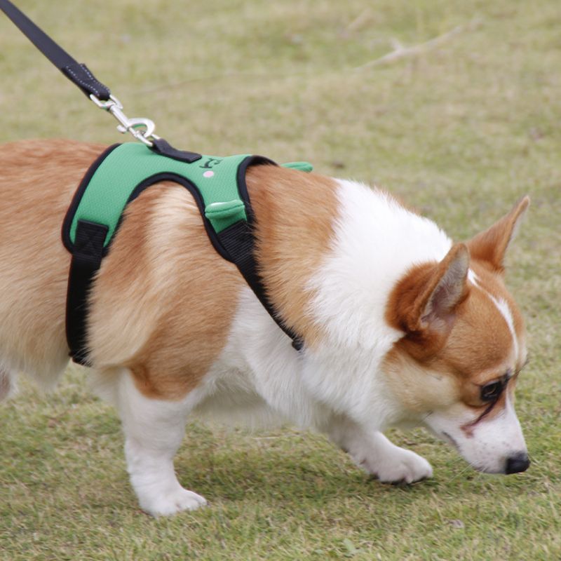 Slatka Prslučna Traka Za Psa Žabu Corgi Fight Vučni Prsluk Za Kućne Ljubimce