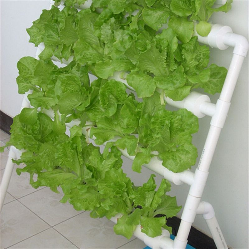 36-rupa-4-sloja-horizontalni-hidroponski-grow-kit-garden-plant-vegetable-planting Grow Box