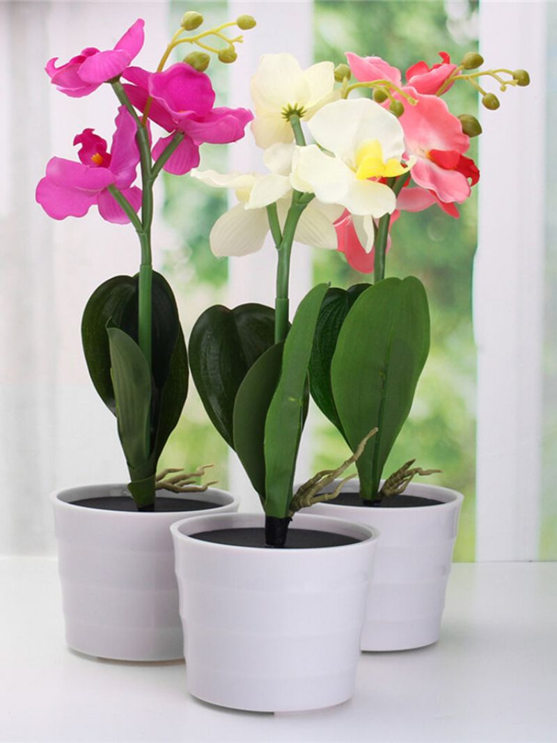 3led Solarni Kolac Za Cvijeće Phalaenopsis Vrtno Svjetlo Za Dvorište Vanjski Dekor Za Krajolik